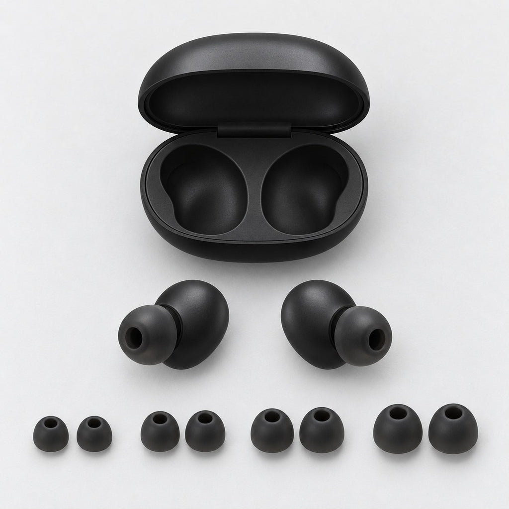 Carry case, earplugs and 4 tip sizes
