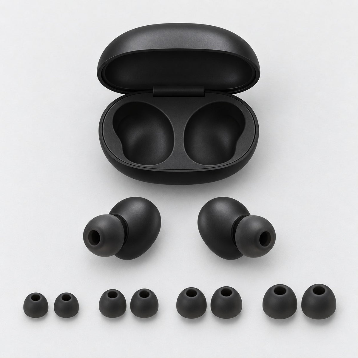 Carry case, earplugs and 4 tip sizes